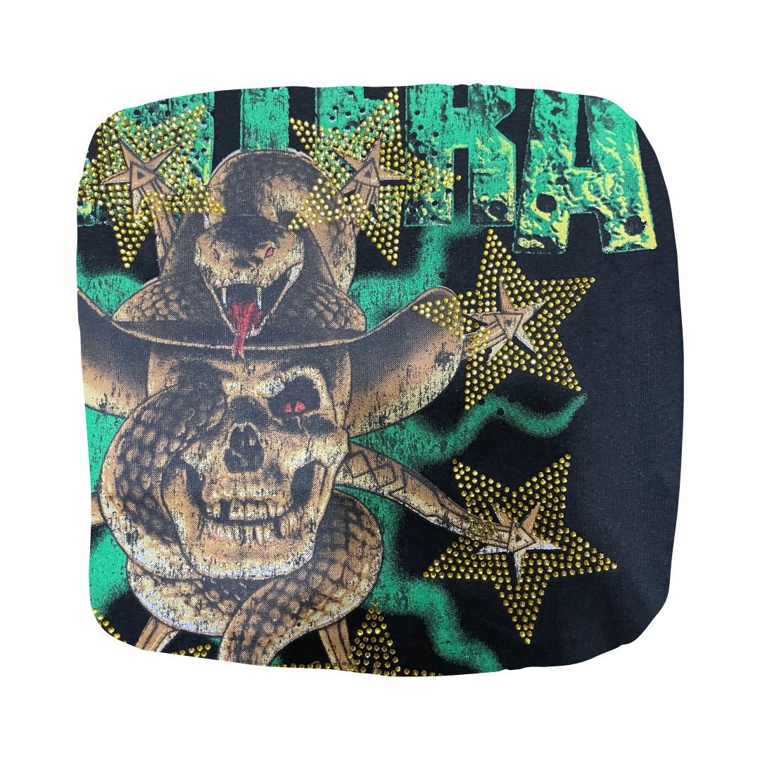 Pantera - Skull & Snake (Negro con brillos) IMPORTADO